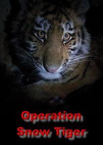 Operation Snow Tiger