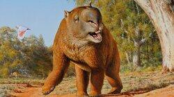 Diprotodon: Not A Wombat