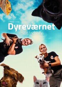 Dyreværnet – bag facaden