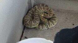 Fires & Fighters Fires & Fighters