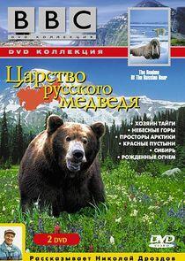 Realms of the Russian Bear