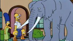 Bart Gets an Elephant