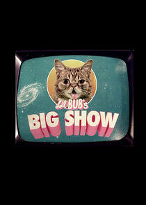 Lil BUB's Big SHOW