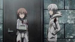 The Star of B'Tselem The Star of B'Tselem