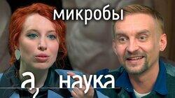 Дмитрий Алексеев: о пересадке кала, пользе грязных рук и антибиотиках в еде