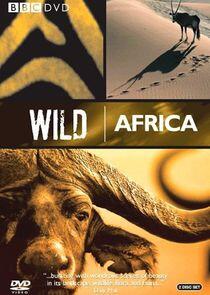 Wild Africa