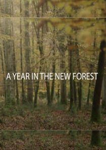 A Year in the New Forest - Season 1