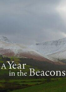 A Year in the Beacons