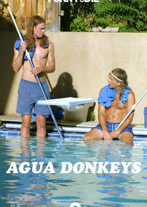 Agua Donkeys