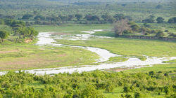 Wondrous Paradise - Ruaha National Park, Tanzania