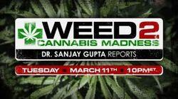 Weed 2: Cannabis Madness