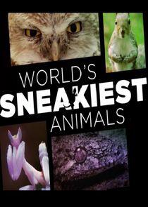 World's Sneakiest Animals