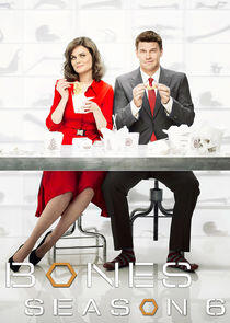 Bones - Season 6