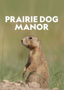 Prairie Dog Manor