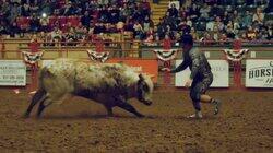 American Bullfighter