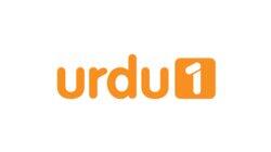 logo of Urdu1