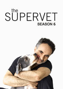 The Supervet: Noel Fitzpatrick - Season 6