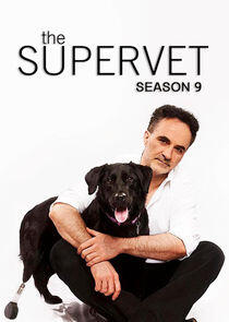 The Supervet: Noel Fitzpatrick - Season 9