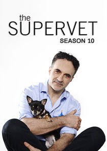 The Supervet: Noel Fitzpatrick - Season 10