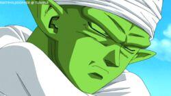 The Time has Come to Become One Again… Piccolo's Decision for Ultimate Power!