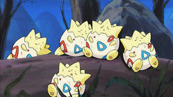 A Togepi Mirage!