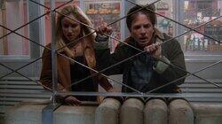 The Thirty Year Itch The Thirty Year Itch