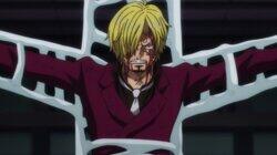 Sanji's Scream! An SOS Echoes Over the Island!