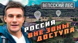 Вепсский лес