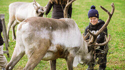 Reindeer Games