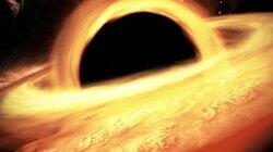 How Black Holes Made Us