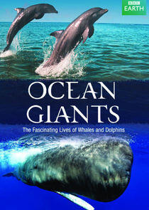 Ocean Giants