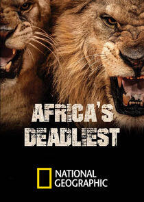 Africa's Deadliest - Season 4