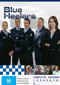 Blue Heelers