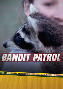 Bandit Patrol