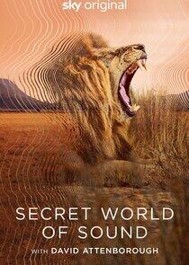 Secret World of Sound with David Attenborough