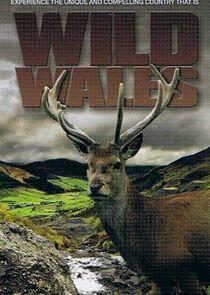 Wild Wales