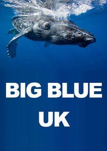 Big Blue UK