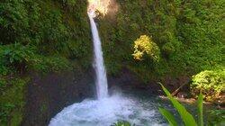 Cloudforest Waterfall