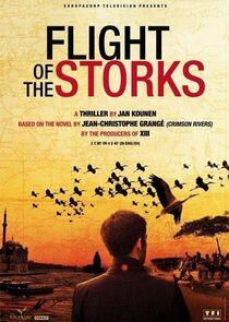 Flight of the Storks