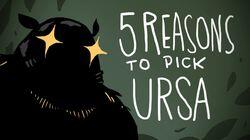 5 REASONS TO PICK URSA