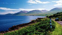 Otters, Puffins and Seals