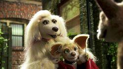 Marion and the Myocardial Infarction Marion and the Myocardial Infarction