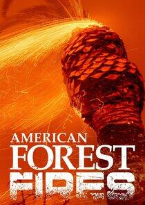 American Forest Fires: The Untold Story