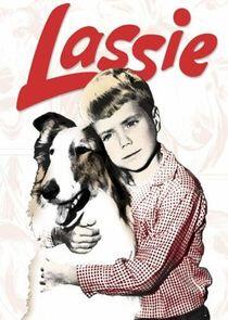 Lassie