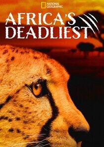 Africa's Deadliest - Season 7