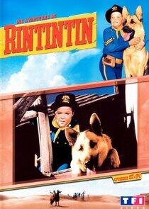 The Adventures of Rin Tin Tin - Season 2