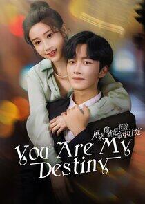 You Are My Destiny