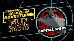 Capital Ships