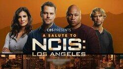 A Salute to NCIS: Los Angeles