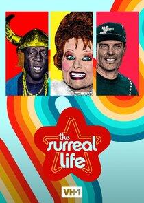 The Surreal Life - Season 6